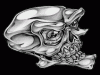11849407.gif